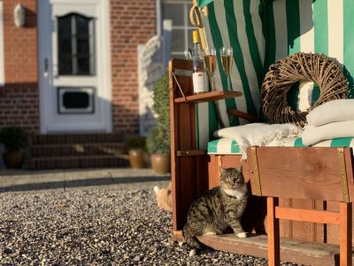 Strandkorb mit Katze auf Terrasse vor Ferienwohnung