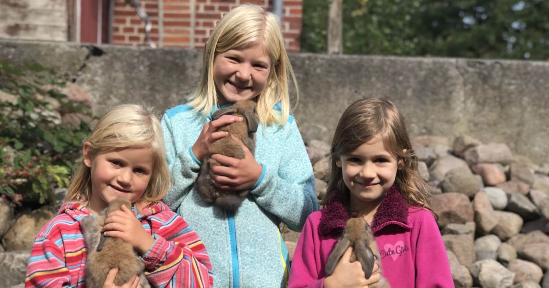 Kinder streicheln junge Kaninchen